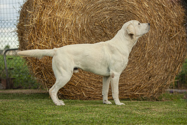 Similar image 22665478