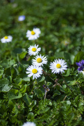 Similar image 22666070