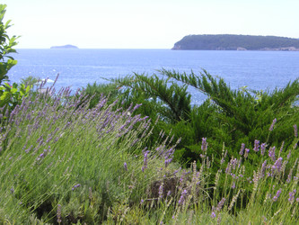 Similar image 22664067