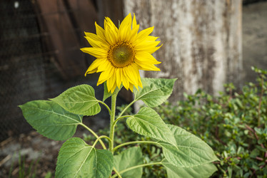 Similar image 22679742