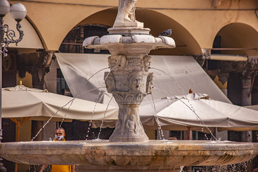 Similar image 22694183