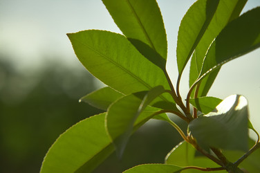 Similar image 22694723