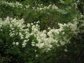 Similar image 22664073
