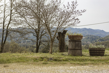 Similar image 22665569