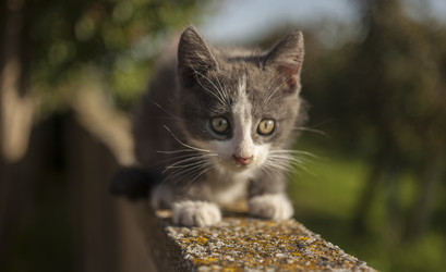 Similar image 22666071