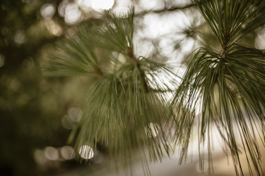 Similar image 22680102