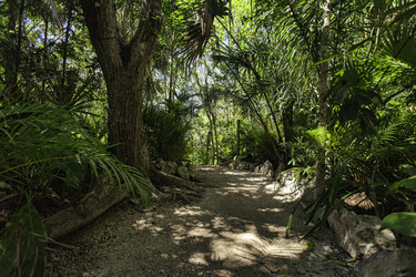 Similar image 22694964