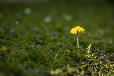 Similar image 22695010