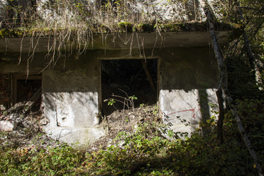 Similar image 22662537