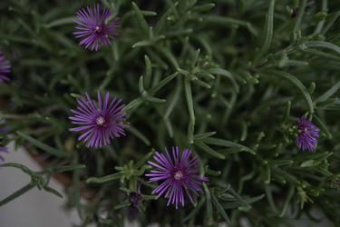 Similar image 22662597