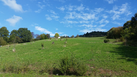 Similar image 22666091