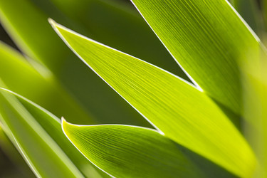 Similar image 22679834