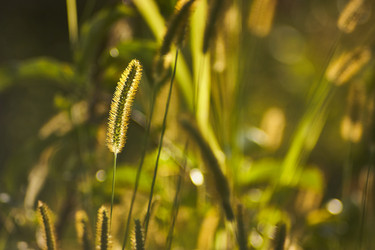 Similar image 22680135