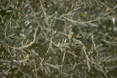 Similar image 22694216