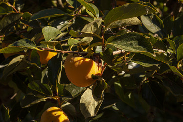 Similar image 22665570
