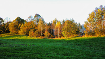 Similar image 22665628