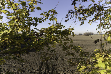 Similar image 22665841