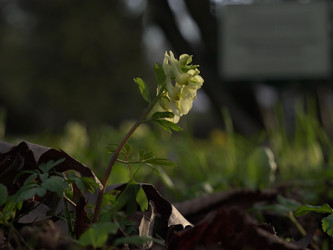Similar image 22664058