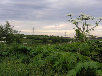 Similar image 22664075