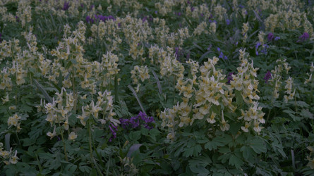 Similar image 22664059