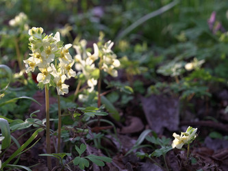 Similar image 22664065