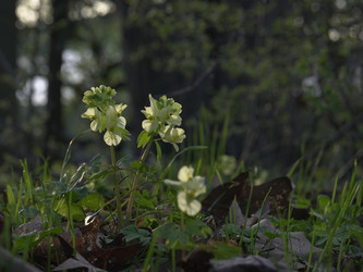 Similar image 22664076