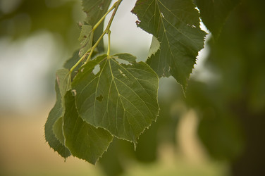 Similar image 22693973