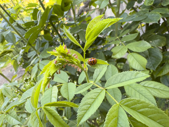 Similar image 22693989