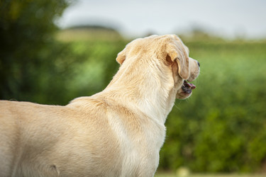 Similar image 22694184