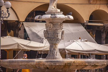 Similar image 22694227