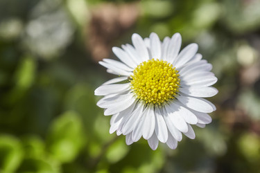 Similar image 22694273