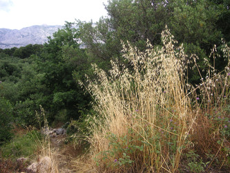 Similar image 22664087