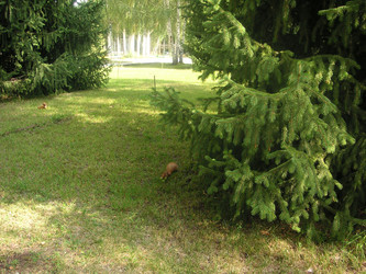 Similar image 22664088