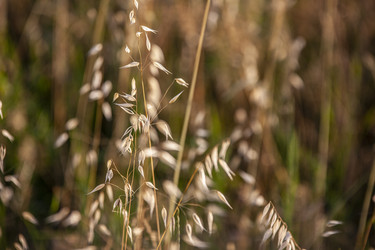 Similar image 22694663