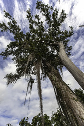 Similar image 22694678