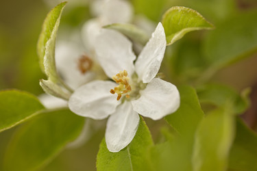 Similar image 22694901