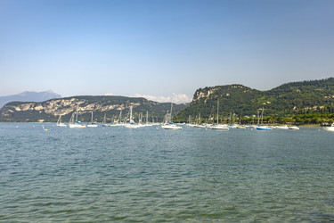 Similar image 22694919