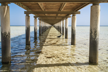 Similar image 22665450