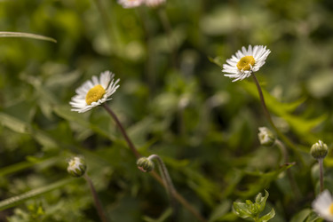 Similar image 22665523