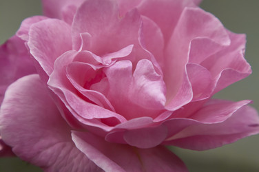 Similar image 22680180