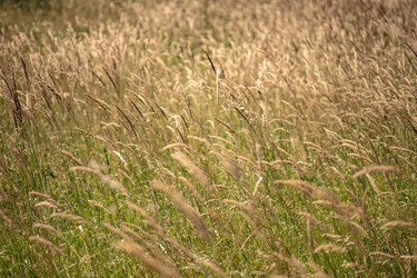 Similar image 22690269