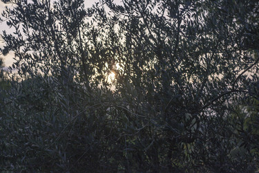 Similar image 22694511