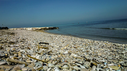 Similar image 22694696