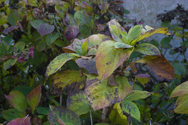 Similar image 22665571