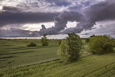 Similar image 22679896
