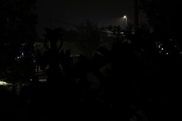 Similar image 22679941