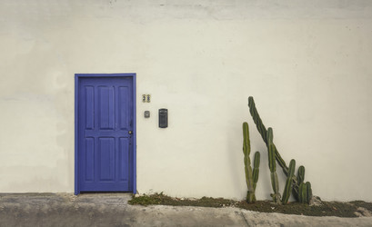 Similar image 22680015
