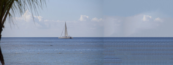 Similar image 22680093