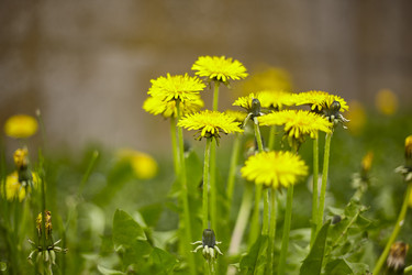 Similar image 22693932