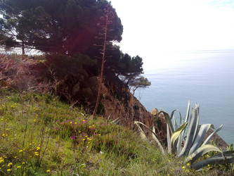 Similar image 22662570